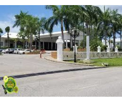 Enjoy Private Ocho Rios Tour with Leading Tour Operator - 2