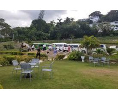 Enjoy Private Ocho Rios Tour with Leading Tour Operator - 3