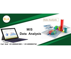 Join MIS Training Course in Delhi at SLA Consultants India