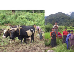Enjoy Customize Bhutan Tour and its Itinerary - 2