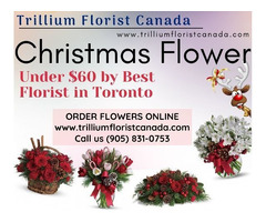 Christmas Flower Canada Under $60