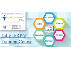 Attend Best Tally Training Course in Gurgaon