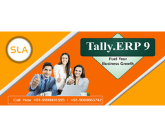 Attend Best Tally Course in Noida