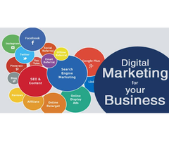 SEO Freelancer In Chennai