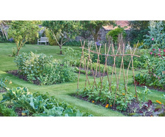 Garden Designer Melbourne - 2