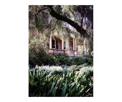 Garden Designer Melbourne - 3