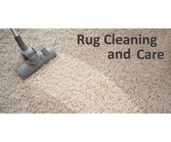 Rug Care and Cleaning
