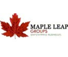 Maple Leap Groups CANADA- SEO, Web Design, Web Hosting