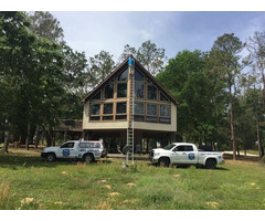 Pro Wildlife Removal - 3