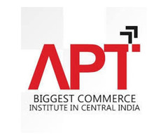 Chartered Accountant