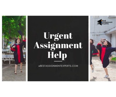 Urgent Assignment Help | Quick Assignment help