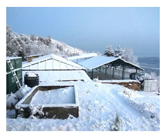 Mukteshwar Trip Package from Delhi Book Online.
