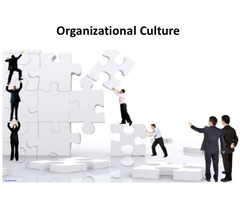 Innovative Organizational Culture