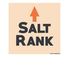 Best SEO Services Company in Kansas City