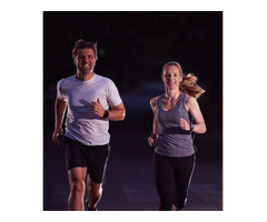 Gym Workout Routines