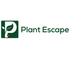 Plant Escape - 2