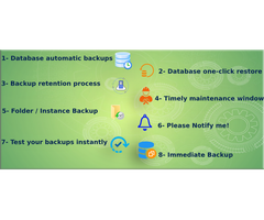 Database backup & restore on Single Click - 2