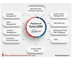 Automobile Software India