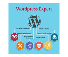 Best WordPress Web Hosting Provider Advantage, Disadvantage
