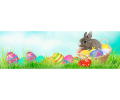 Book Cheap Easter Flights