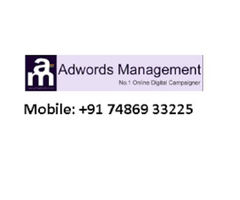 Adwords Management PPC Services in Ahmedabad