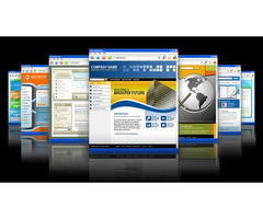 Pro Website Design + Google High Ranking