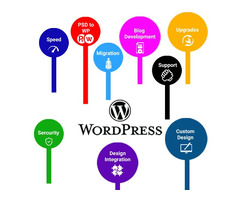 WordPress Design Company In India - 3