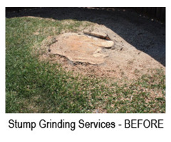 Tree Stump Services
