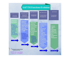 SAP TM Online Training in Hyderabad | SAP TM Module