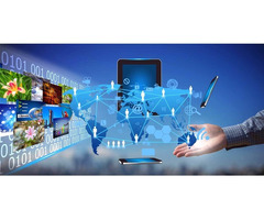 Best Website Designer in Jalandhar | Web Design | 9877575088