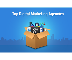 Digital Marketing Agency Delivering More Leads & Sales