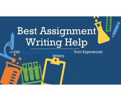 cheap assignment writing service
