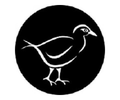 Follow Our Guidance for Best Welding Boots in the Market